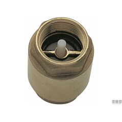 CHECK VALVE LIGHT 4115025 1IN