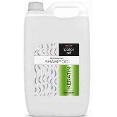 PROSALON PROFESSIONAL Basic Care Color Art Αναζωογονητικό Σαμπουάν για τα μαλλιά - Κερατίνη 5000ml