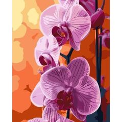 Malowanie po numerach - Orchidea 40x50cm