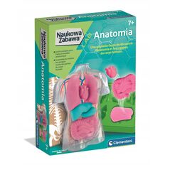 CLM ΑΝΑΤΟΜΙΑ ΣΕΤ ΔΗΜΙΟΥΡΓΙΑΣ 50252 PUD6