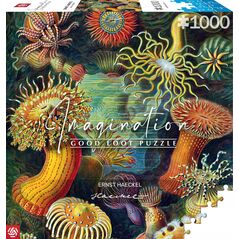 Good Loot Good Loot Puzzle: Ernst Haeckel - Sea Anemones