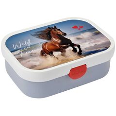 ΚΟΥΤΙ ΜΕΣΗΜΕΡΙΑΝΟΥ CAMPUS WILD HORSE 107440065401