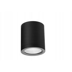 Azzardo Conyon AZ6027 πλαφονιέρα φωτιστικό οροφής spot IP54 1x15W LED 3000-4000-6000K 900 lm μαύρο