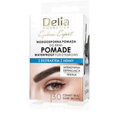 DELIA Eyebrow Expert αδιάβροχη πομάδα φρυδιών 3.0 σκούρο καφέ 7 g