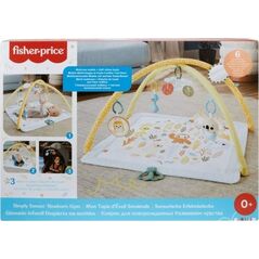 Mattel FP MATA SENSORYCZNA PREMIUM HRB15 WB1