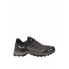Ορειβατικά παπούτσια Salewa Mountain Trainer Lite GTX - wlt/fluo org