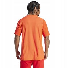 Koszulka adidas FC Bayern CO Tee IQ0601