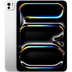 iPad Pro 11" M4 WiFi 256GB with Standard glass - Silver