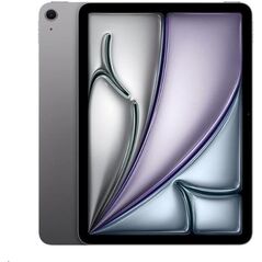 iPad Pro 11" M4 WiFi 512GB with Standard glass - Silver