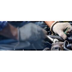 Καρυδάκι καστάνιας SR 269003312, 12mm