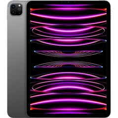 Tablet Apple iPad Pro 11" 4 gen. 2 TB Szary (MNXM3FD/A)