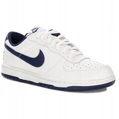 Buty Nike Big Low 355152-140