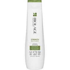 MATRIX Szampon Matrix Biolage Strength Recovery 250 ml