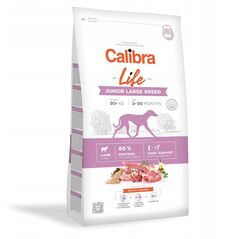 CALIBRA DOG life junior large breed lamb 2,5kg