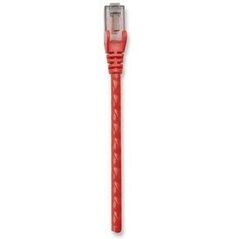 Patchcord Cat6 UTP 0,3m 100% CU czerwony