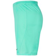 Σορτς Nike JR Park III Knit 354, 140 cm (BV6865-354)