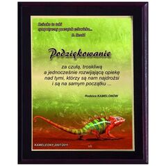 Tryumf Δίπλωμα από Πλαστικό με Επικάλυψη Colour Touch