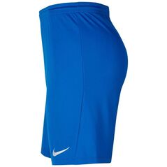 Σορτς Nike JR Park III Knit 463, 140 cm (BV6865-463)