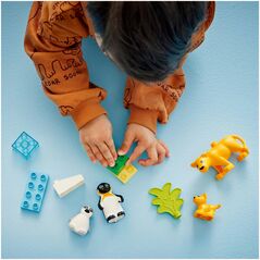 Duplo Άγριες Οικογένειες Ζώων: πιγκουίνοι και λιοντάρια (10442)