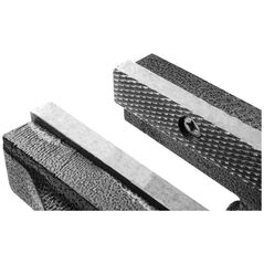 TOPEX Αντιστρεπτό μέγγενη (Περιστρεφόμενο μέγγενη 200 mm)