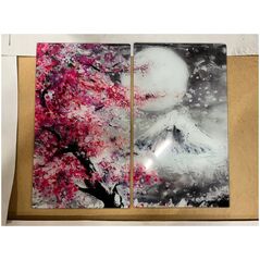 Γυάλινες πλάκες προστασίας για την κουζίνα, POLE MAKU - 2 τεμάχια, Wenko