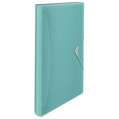 Esselte ΦΑΚΕΛΟΣ ΜΕ ΧΩΡΙΣΜΑΤΑ COLOUR`ICE ΜΠΛΕ