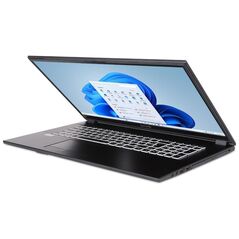 TERRA MOBILE 1716R i5-1334U W11