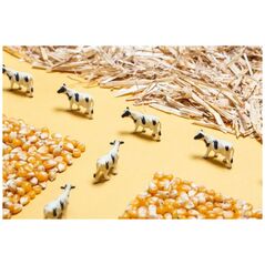 Djeco Petit Boum, Μπουκάλι παρατήρησης - ΦΑΡΜΑ