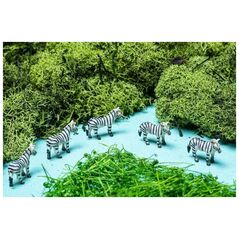 Djeco Petit Boum, Μπουκάλι παρατήρησης - ΖΟΥΓΚΛΑ