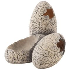 Exo Terra Κρυψώνα με εσοχή νερού για αυγά δεινοσαύρων 12313694 15561228404