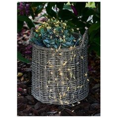 Χριστουγεννιάτικη διακόσμηση Nebbia Sirius Trille Star 125L, Clear/Silver