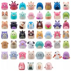 Orbico *****Squish-a-longs LAS SQAL Blinds S1 64373