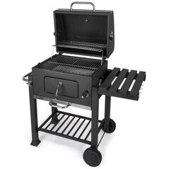 Ψησταριά κήπου Fieldmann FZG 1008 με κάρβουνα 42 cm x 56 cm 879587 8590669164639