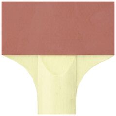 Ρακέτα επιτραπέζιας αντισφαίρισης Spokey Training