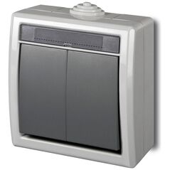 Elektro-Plast Διακόπτης επιφανειακής τοποθέτησης Aquant διπλός γκρι (1202-10)