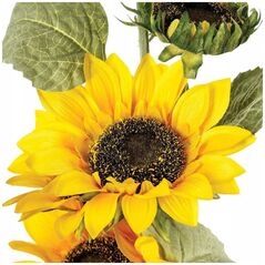 ATMOSPHERA Τεχνητό Ηλιοτρόπιο, 81 cm