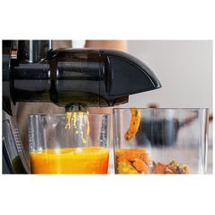 Αργής περιστροφής αποχυμωτής AMZCHEF 1501-BK-SM (μαύρο)