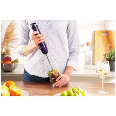 Μπλέντερ Berlinger Haus BLENDER RĘCZNY BERLINGER HAUS BH-9381