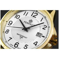 Ανδρικό Ρολόι PERFECT C710T-10