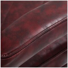 Καρέκλα κομμωτηρίου Hair System BM88066 μπορντό