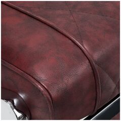 Καρέκλα κομμωτηρίου Hair System BM88066 μπορντό