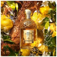 Guerlain GUERLAIN AQUA ALLEGORIA FORTE OUD YUZU (W) EDP/S 125ML