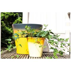 Edding Spray Edding® 200 ml μόνιμο ματ βερνίκι