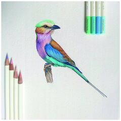 Μολύβι χρώματος Tombow Tombow IROJITEN σετ τόμος 2: Ζωντανός τόνος l, 10 τεμ.