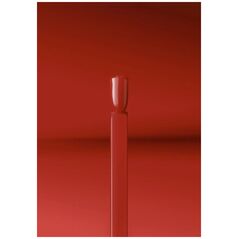 Nailfreak NailFreak Pouty Monroe.