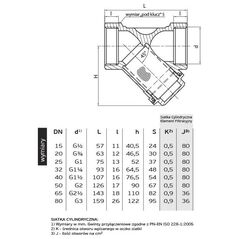 Perfexim Φίλτρο κεκλιμένο με πλέγμα για νερό 3/4" (03-060-0200-000)