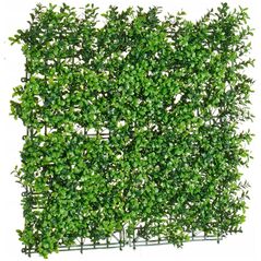 Ibergarden Τεχνητός φράχτης, 50 x 50 cm