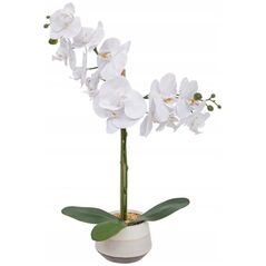 ATMOSPHERA Λευκή τεχνητή ορχιδέα σε γλάστρα CLERA, 52 εκ.