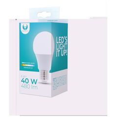 LED Bulb E27 A60 6W 230V 3000K 480lm Forever Light