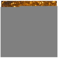 String light 240LED 19,2m warm white Forever Light